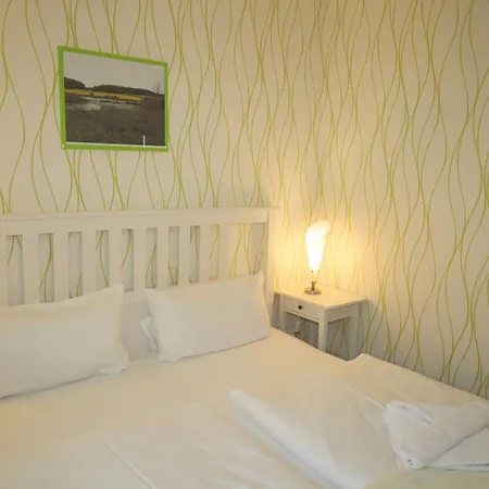 펜션 Neu Suellitz Whg 91